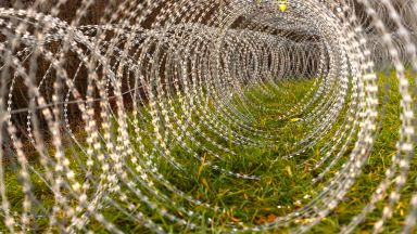 Властите в Белград са взели решение за поставяне на телена