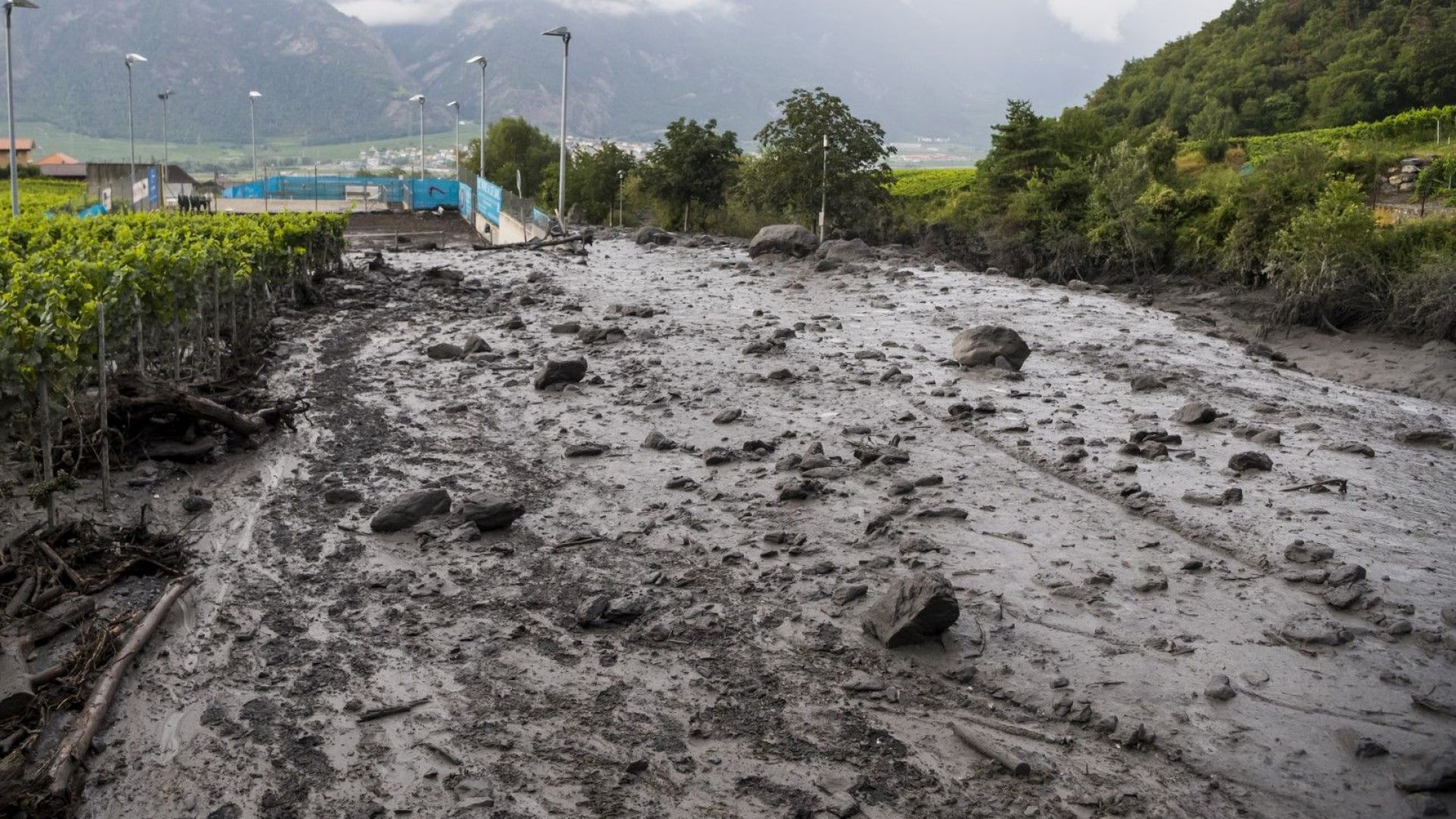 Швейцарските власти издирват 37 годишен мъж и 6 годишно момиче които от