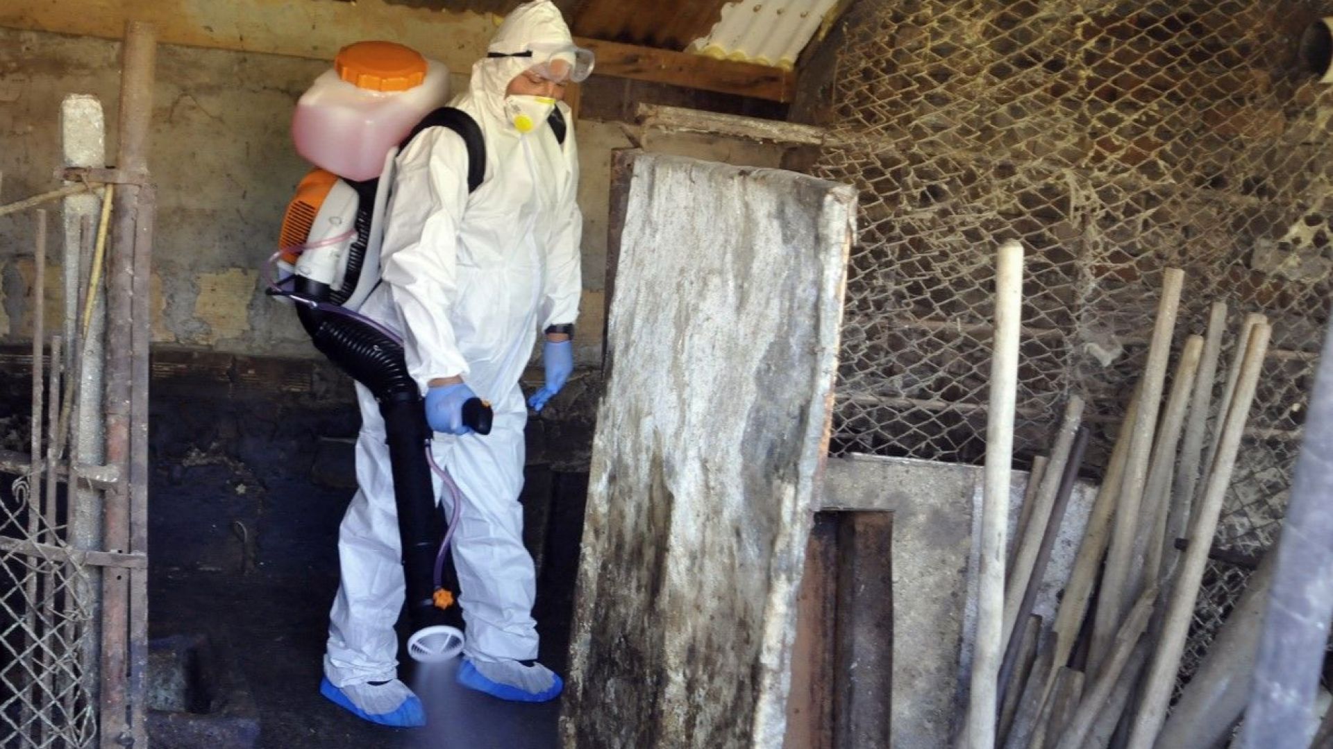 В свое съобщение Българската агенция по безопасност на храните БАБХ