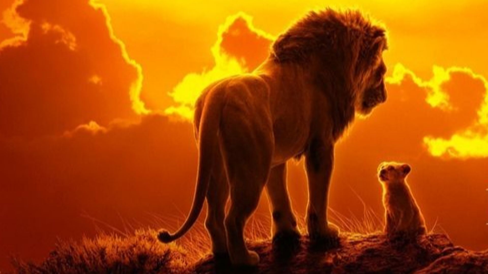 "Цар лъв" е най-гледаният филм в България за 2019