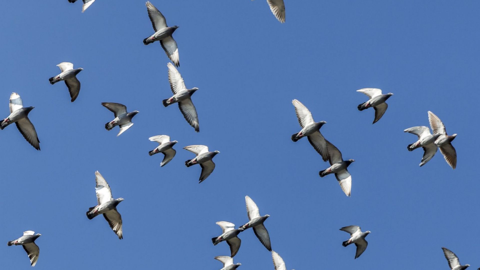 Жители на турския окръг Балъкесир останаха без ток в продължение