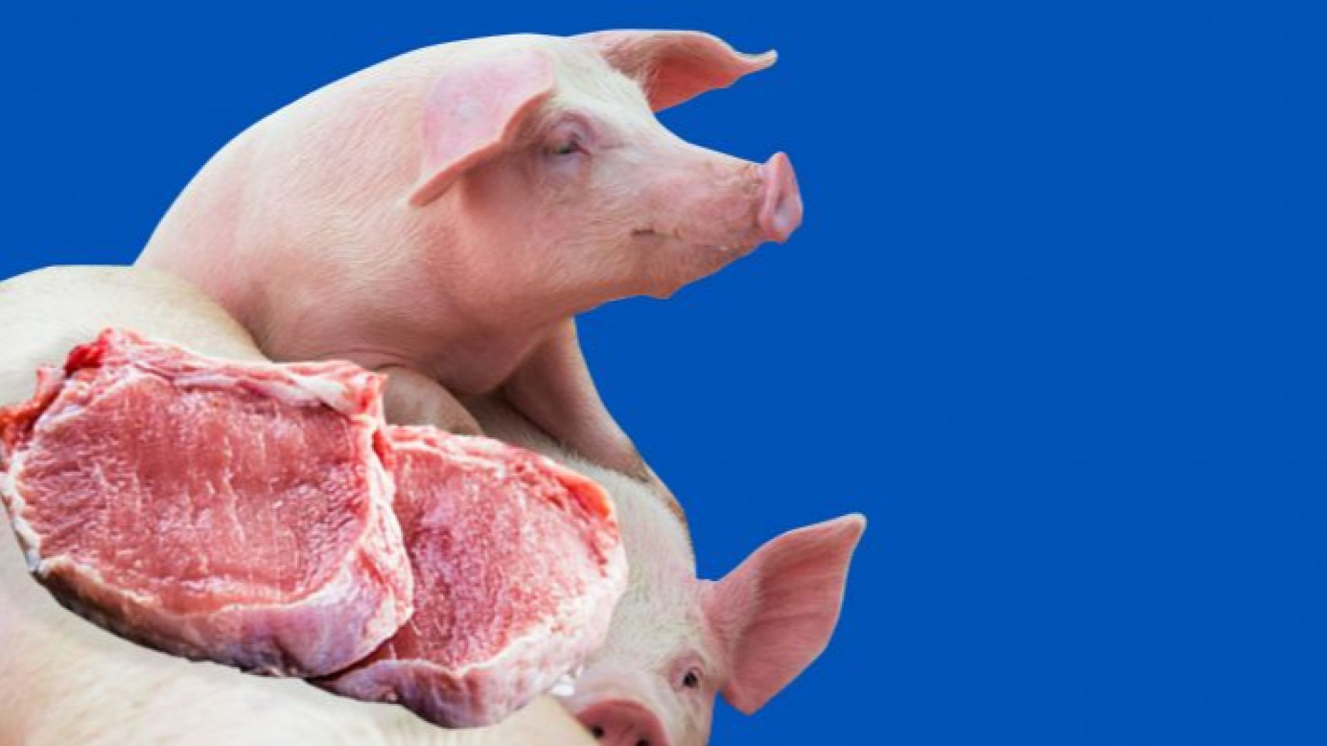 Свинското месо e рекордьор по поскъпване през 2019 г.