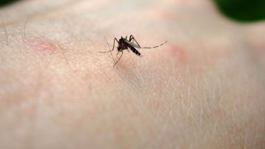 За първи за годината случай на в България потвърдиха от