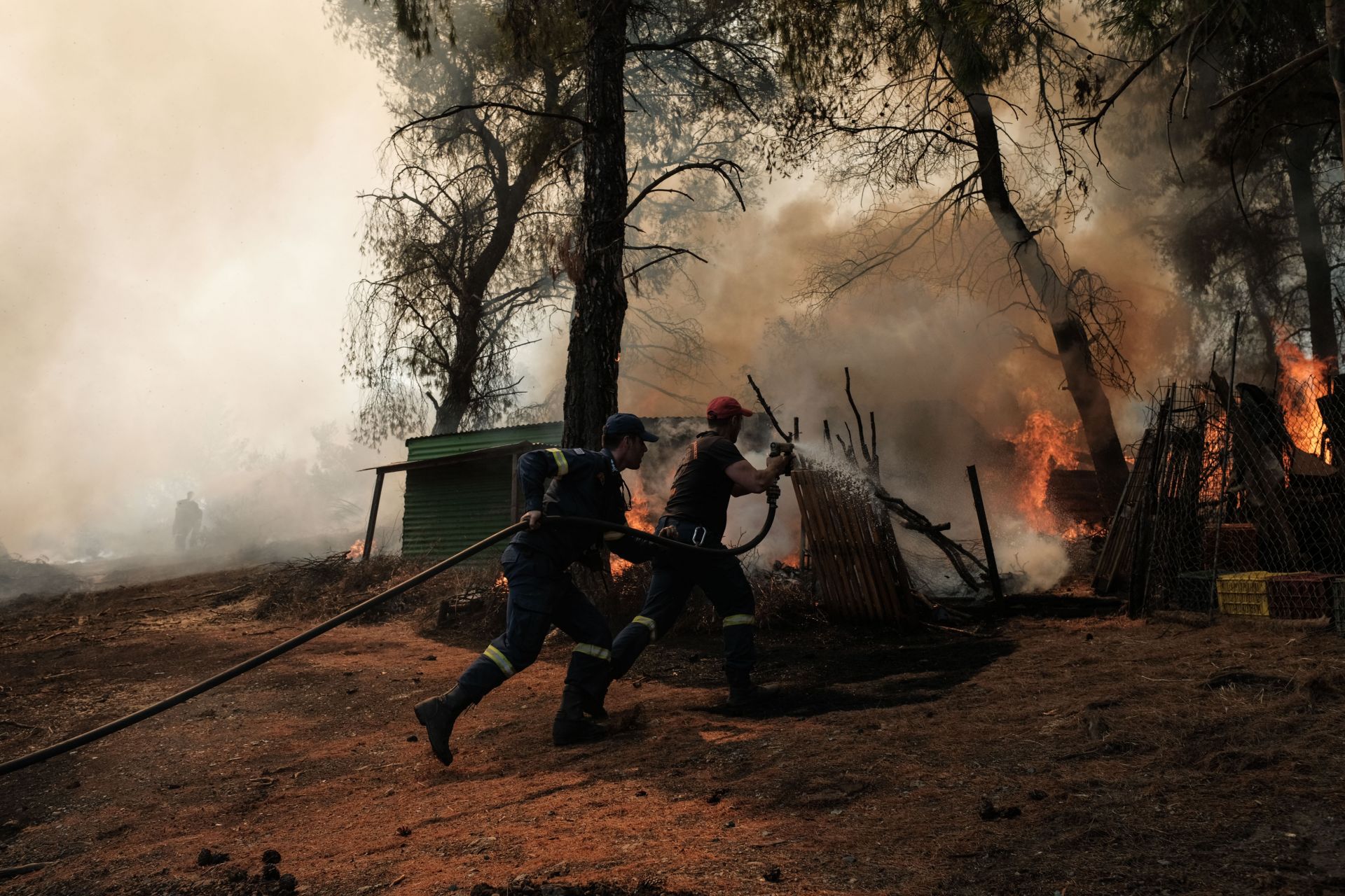 390-те пожарникари със 101 коли успяха да ограничат пожара до труднодостъпен каньон близо до село Платания 