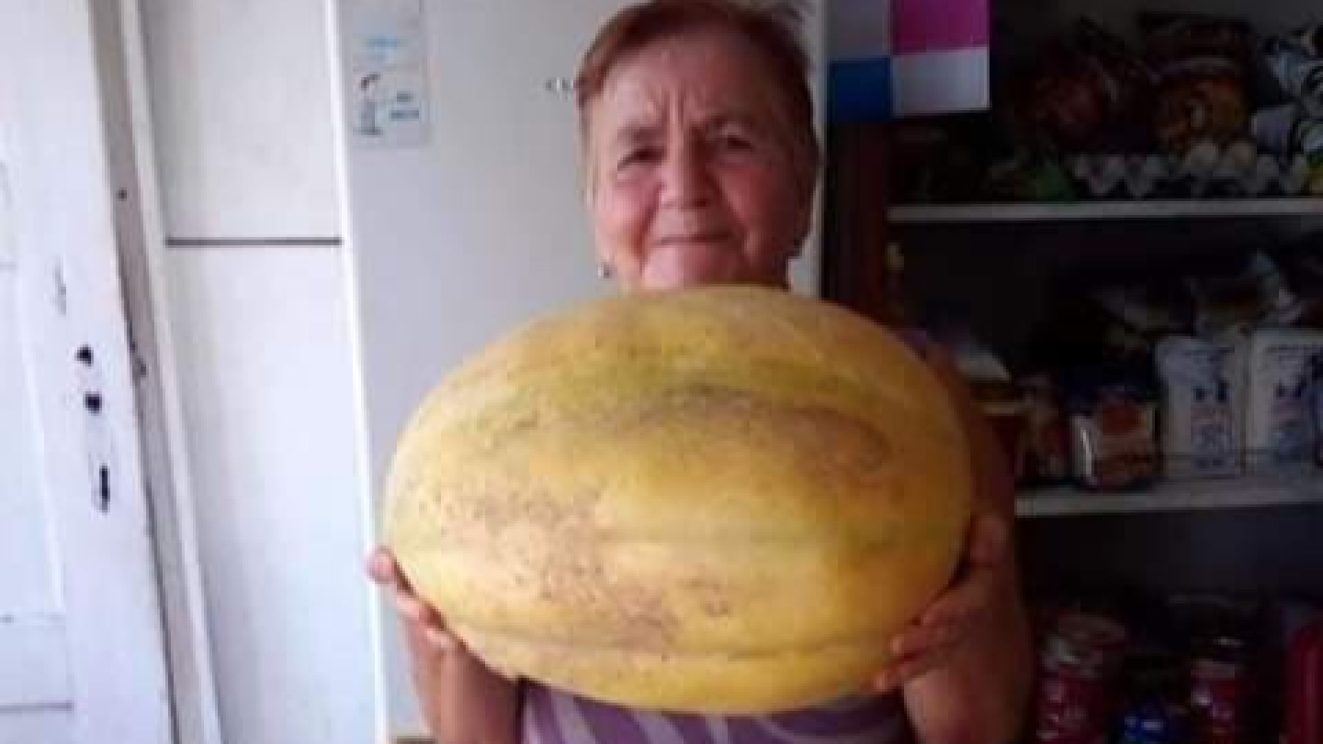 Пъпеш гигант израсна в двора на 72 годишната Гина Койнова в