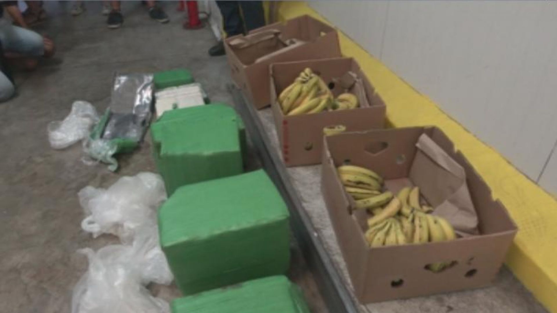 Обискират всички складове в страната на фирмата-получател на бананите с кокаин