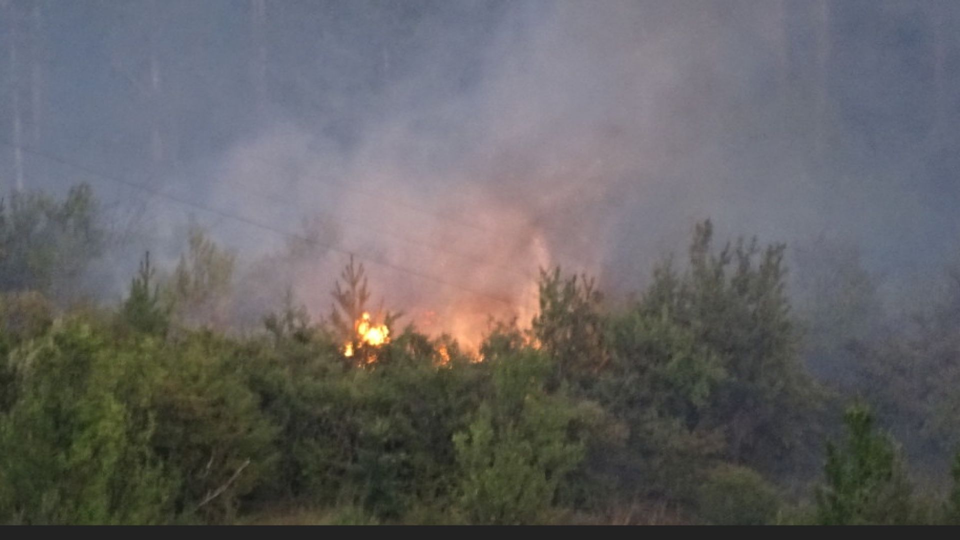Голям пожар гори край софийското село Реброво Пламъците обхванали местността