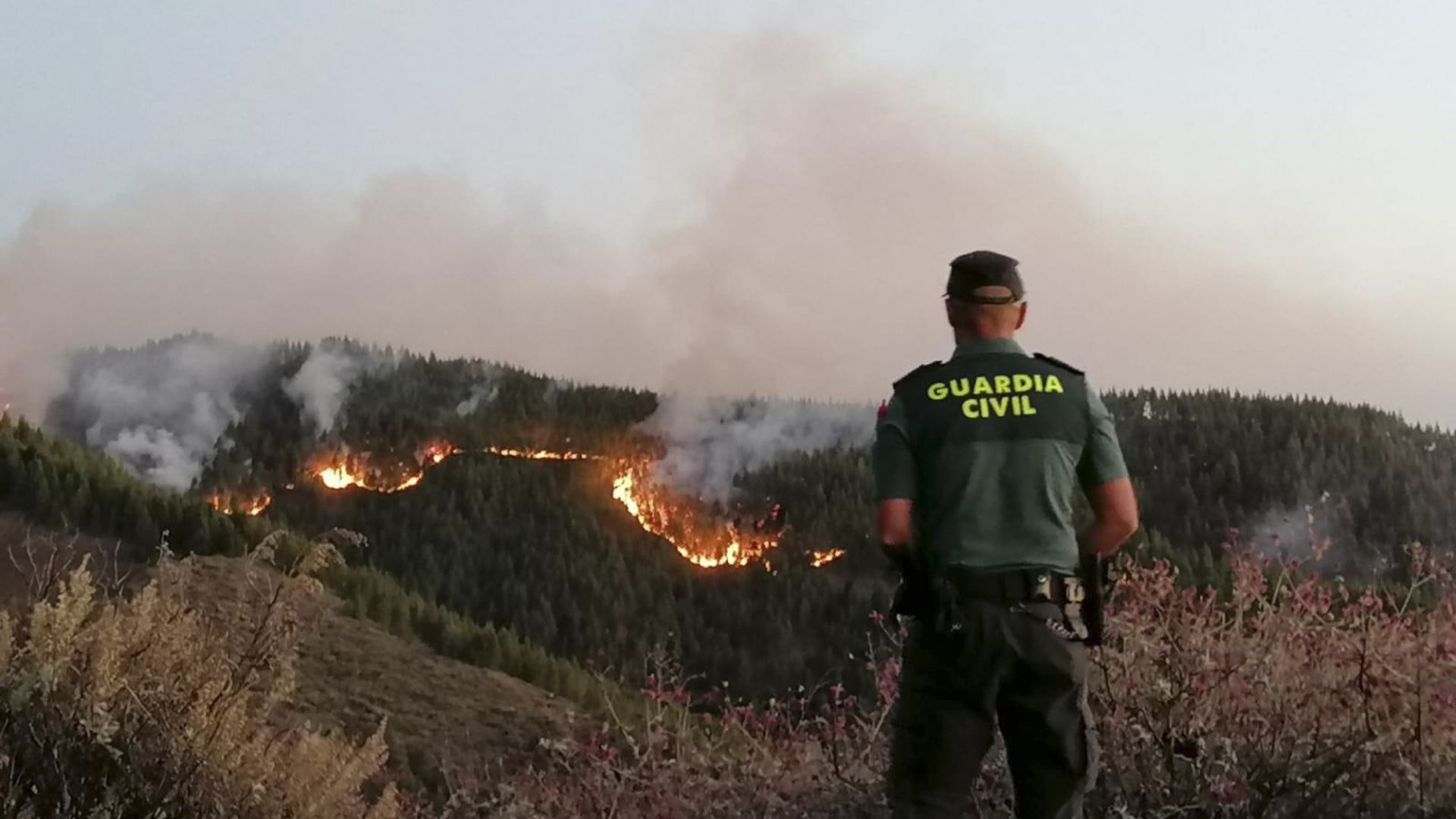 Хиляди евакуират от Гран Канария заради пожари 