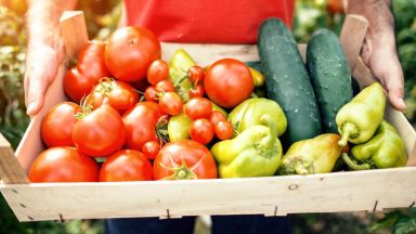 Липсата на плодове и зеленчуци в супермаркетите в Англия били заради лошо време в Африка и Европа