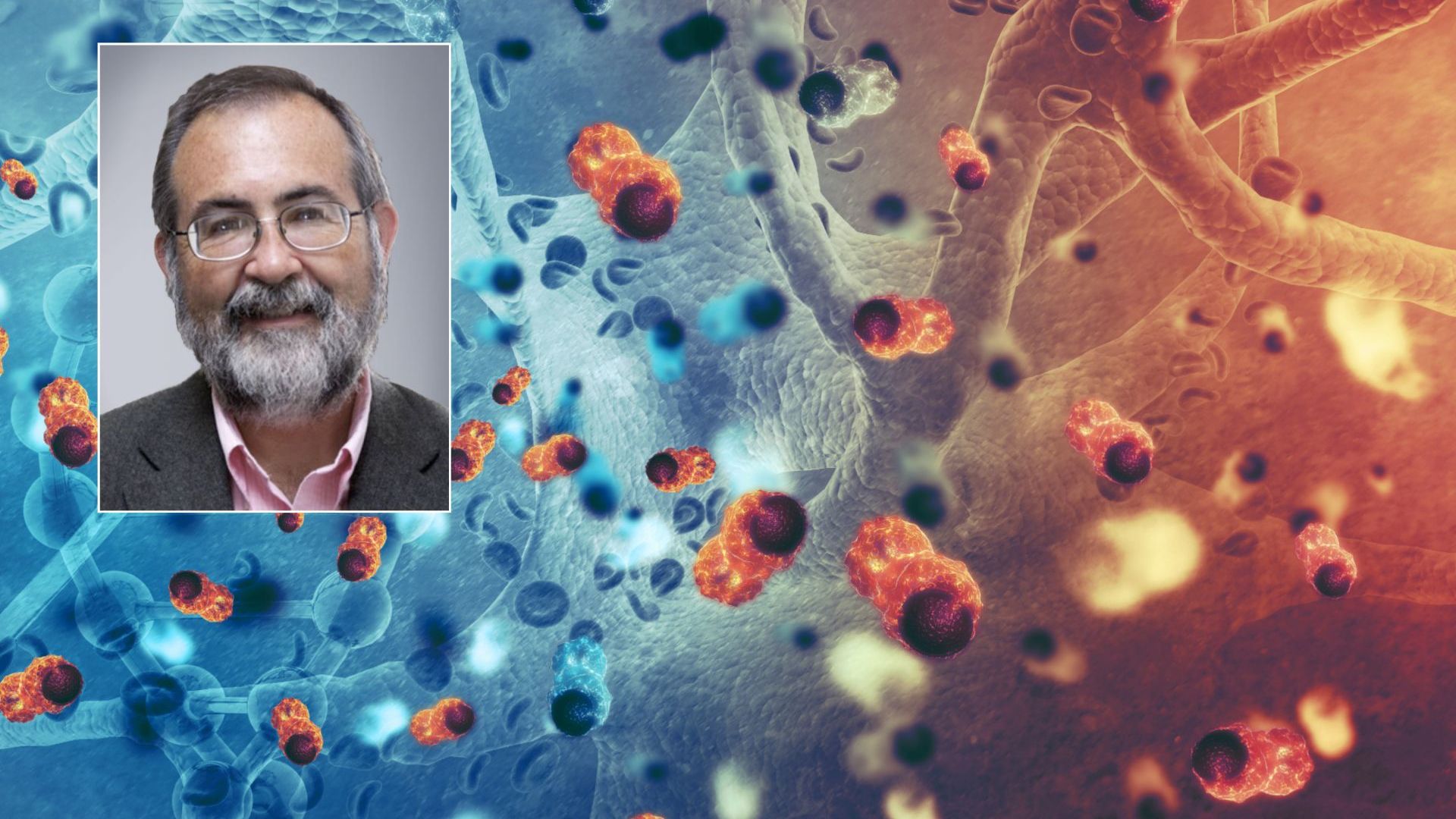 Проф д р Хърбърт Левин гостува у нас за участие в