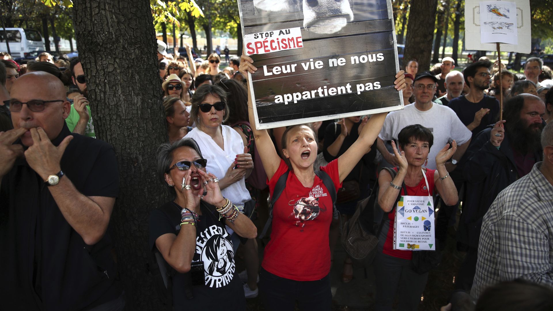 Двама български демонстранти бяха поканени на среща с бразилския посланик след