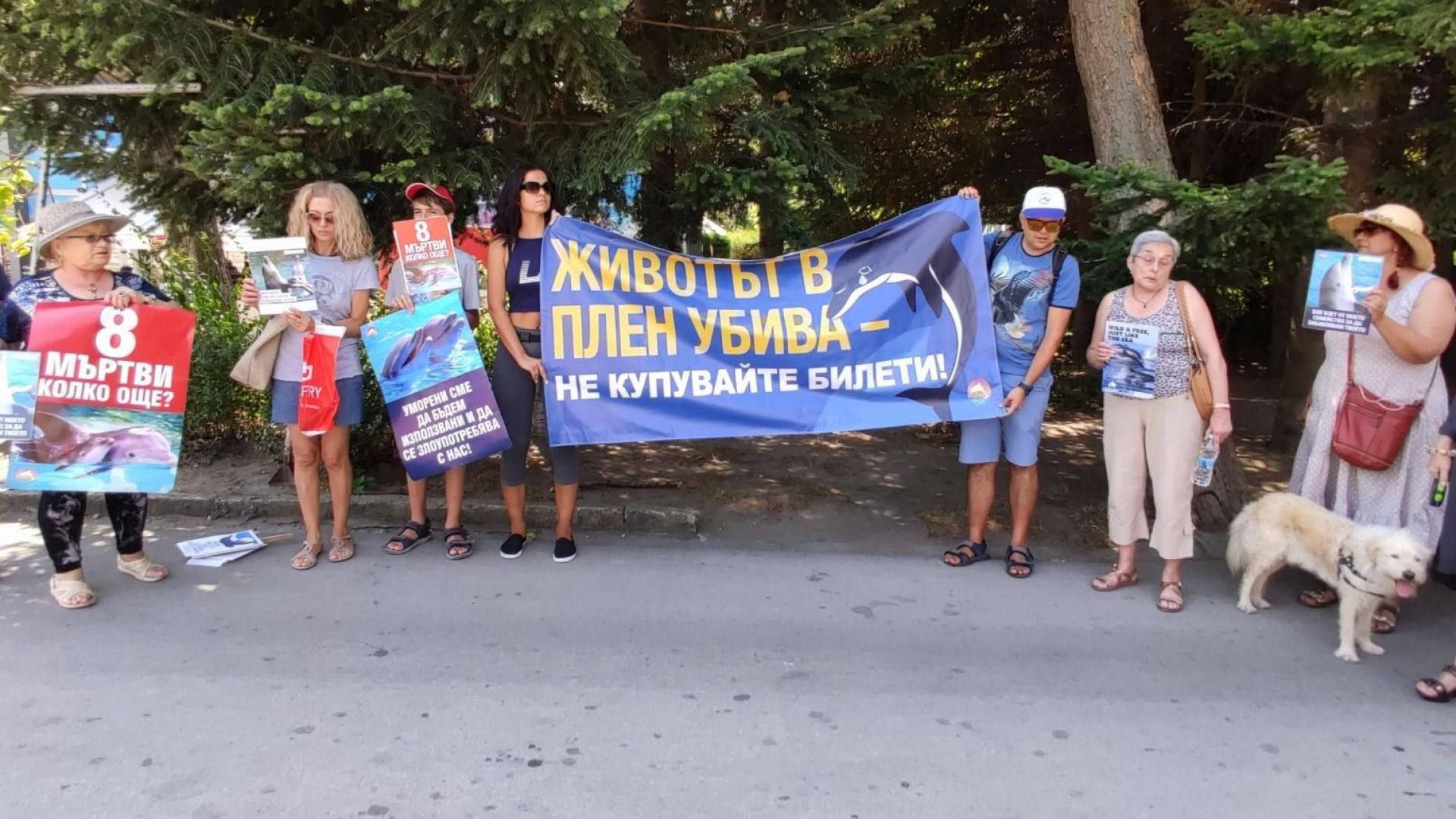 Варненци излязоха на протест пред Делфинариума във Варна с искане