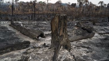 Бразилски министър туитна, че Макрон e кретен заради пожарите в Амазония