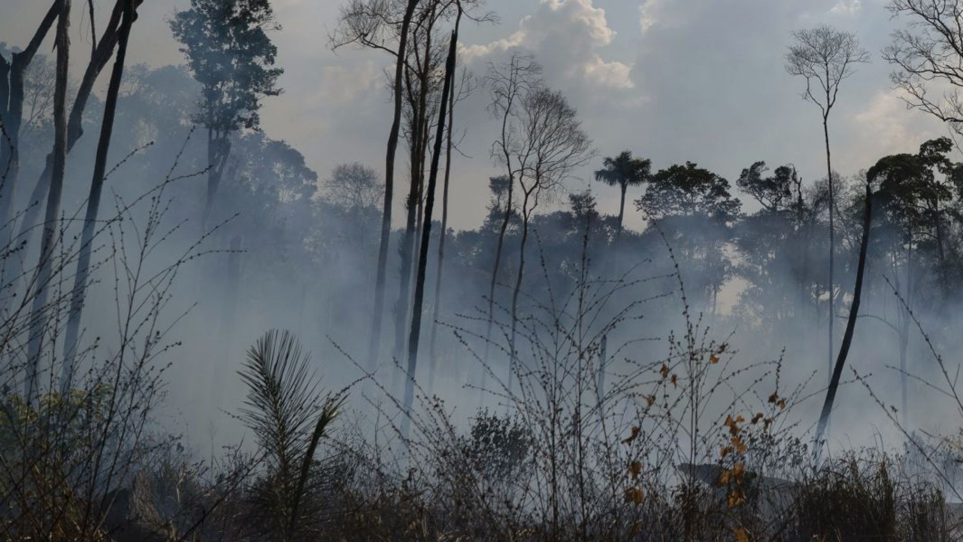 Бразилия приема помощ срещу амазонските пожари, но сама ще решава за използването на парите