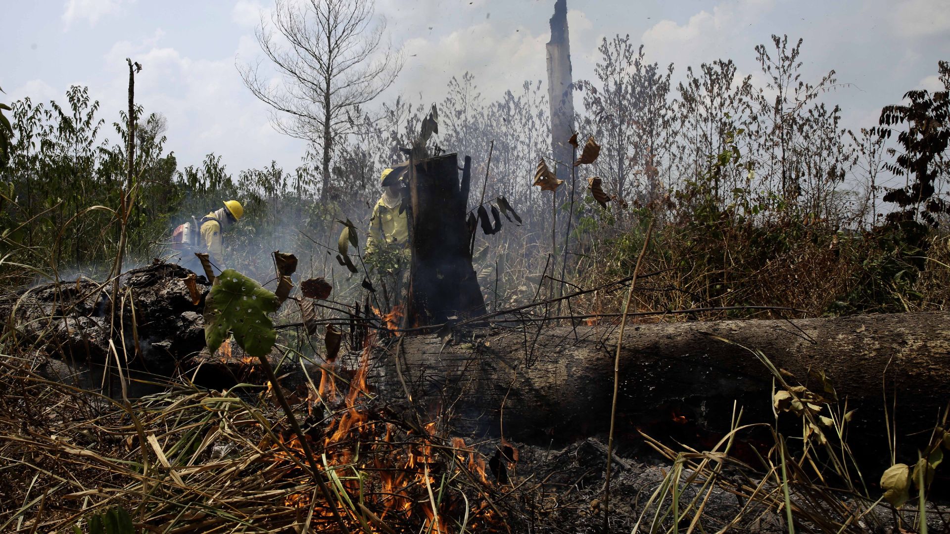 Г 7 реши да отпусне спешна помощ в размер на 20