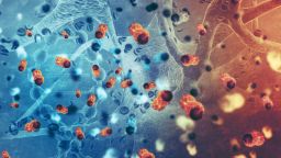 Австралийски учени изпробват компютърни синтетични антитела срещу туморни клетки