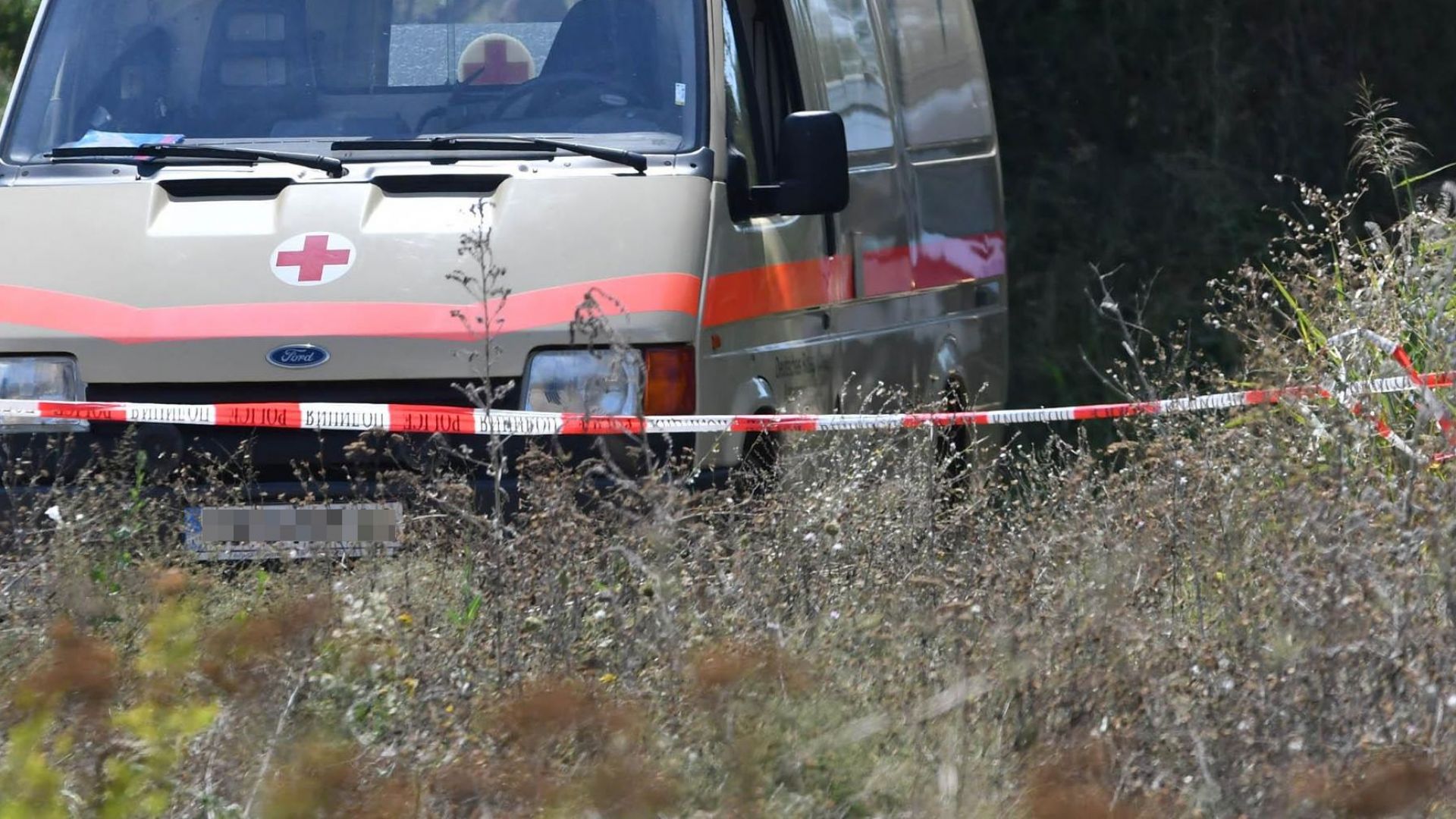 Единият от нападателите опитали да изнасилят 8 годишно момиченце в Сотиря