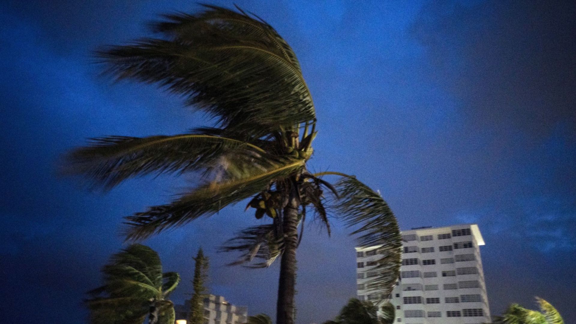 Ураганът Дориан отнесе покриви на къщи и събори електрически стълбове на Бахамите
