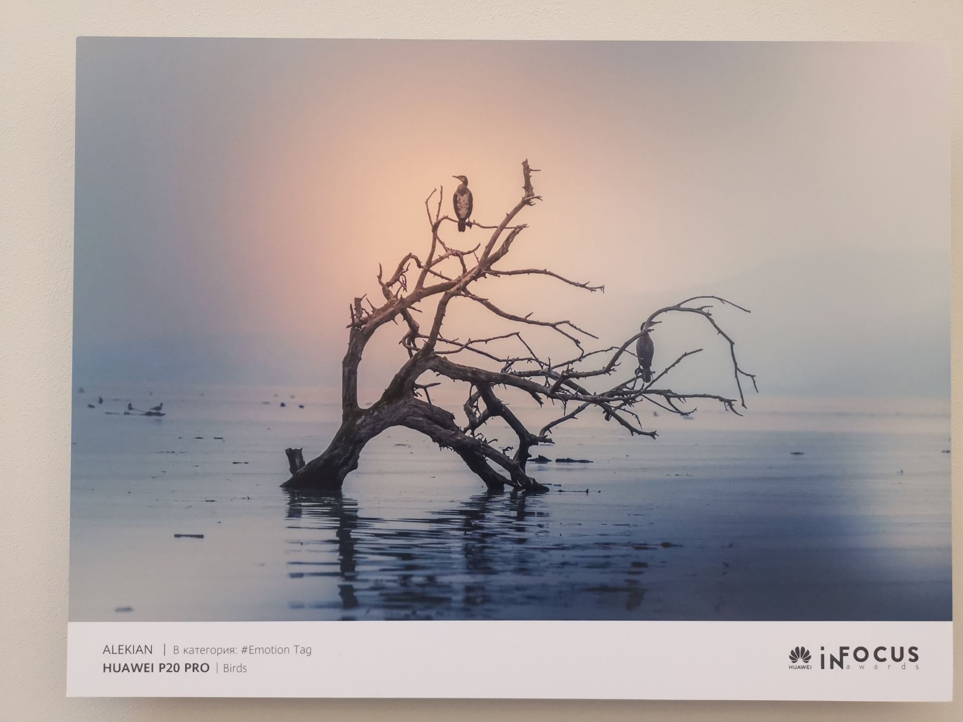 Снимка от изложбата на Huawei