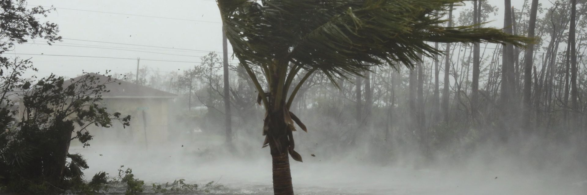 Българи се готвят за урагана Дориан: Може да няма ток седмица, магазините не работят