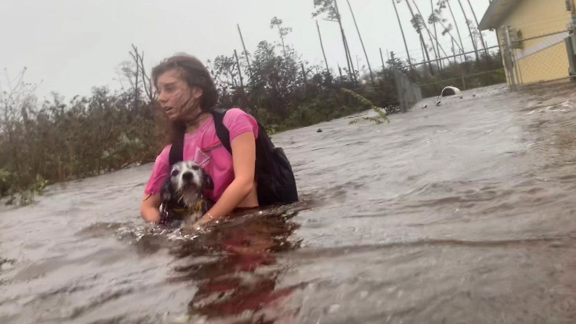 Виж още Безпрецедентна евакуация в 6 щата заради урагана Дориан