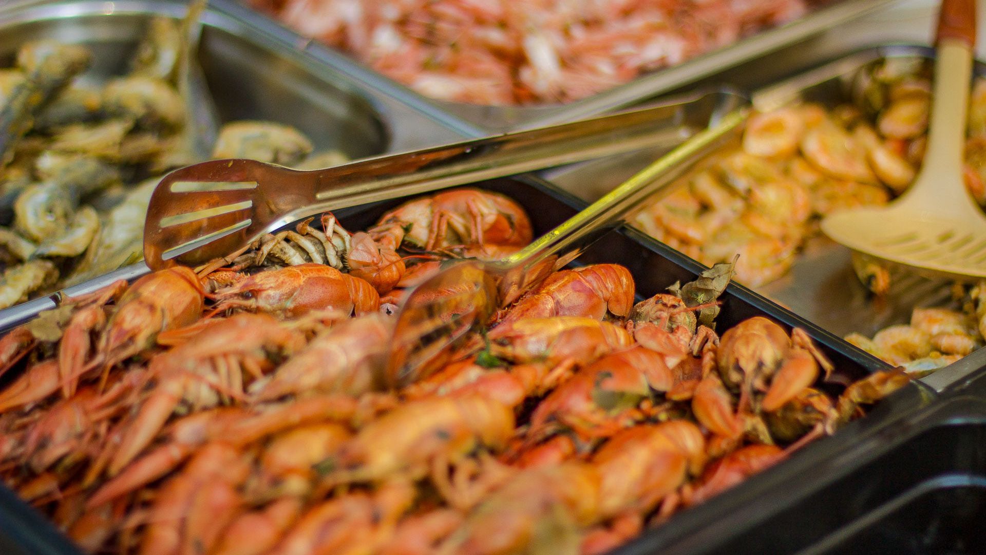 Лятото е към края си но приятните емоции продължават да