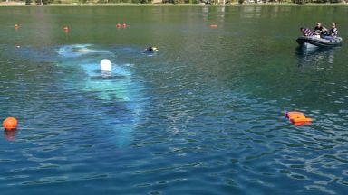 Виж още Министерството на външните работи МВнР с дълбоко съжаление