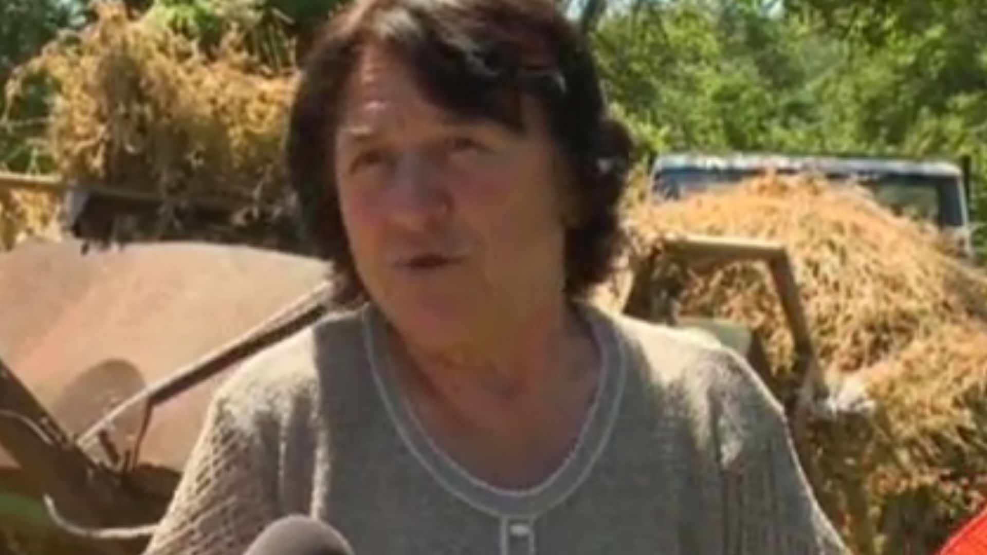 Възрастна жена оборудва дома си с камери след като два