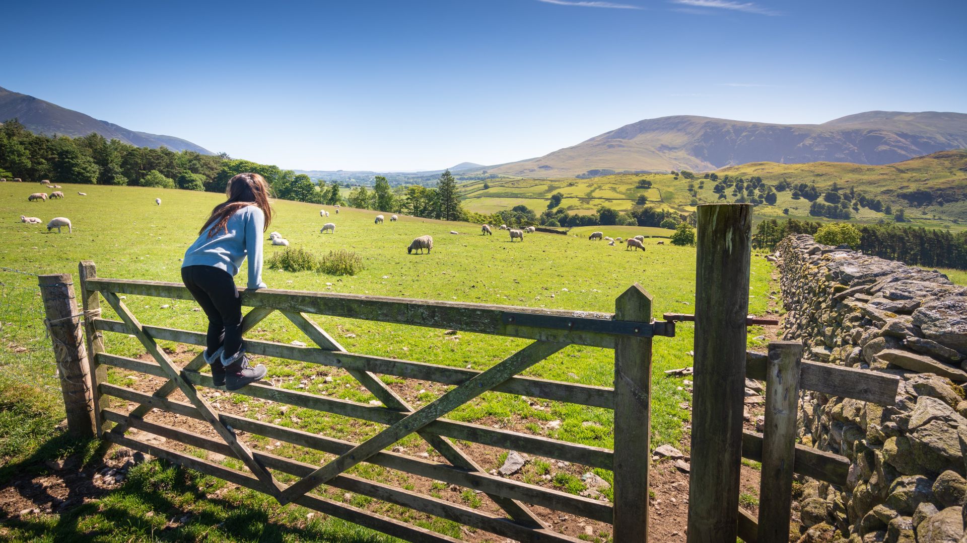 Туристически пътеводител фотоалбум и кратки промоционални клипове ще бъдат създадени