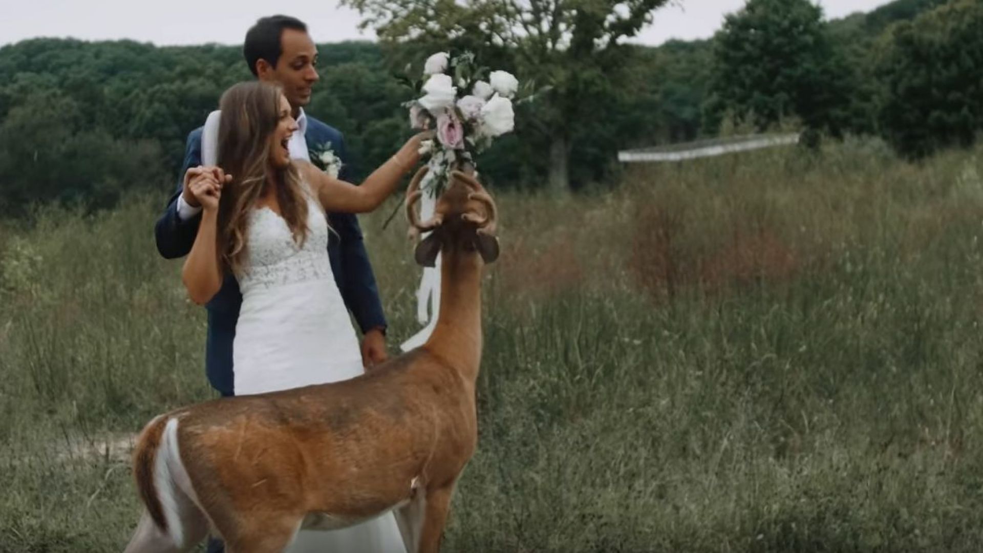 Младоженци в Мичиган посрещнаха неканен гост на сватбата си докато