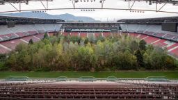 В Австрия залесиха с 300 дървета футболен стадион