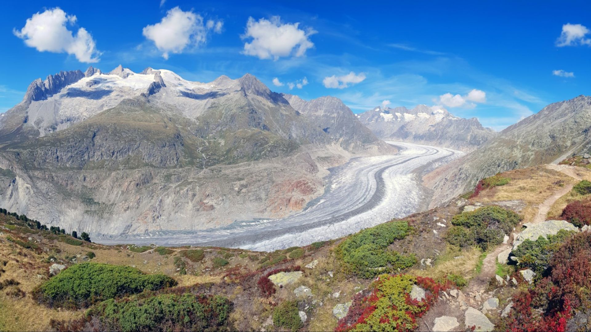 Швейцарските ледници са изгубили 10 процента от обема за 5 години
