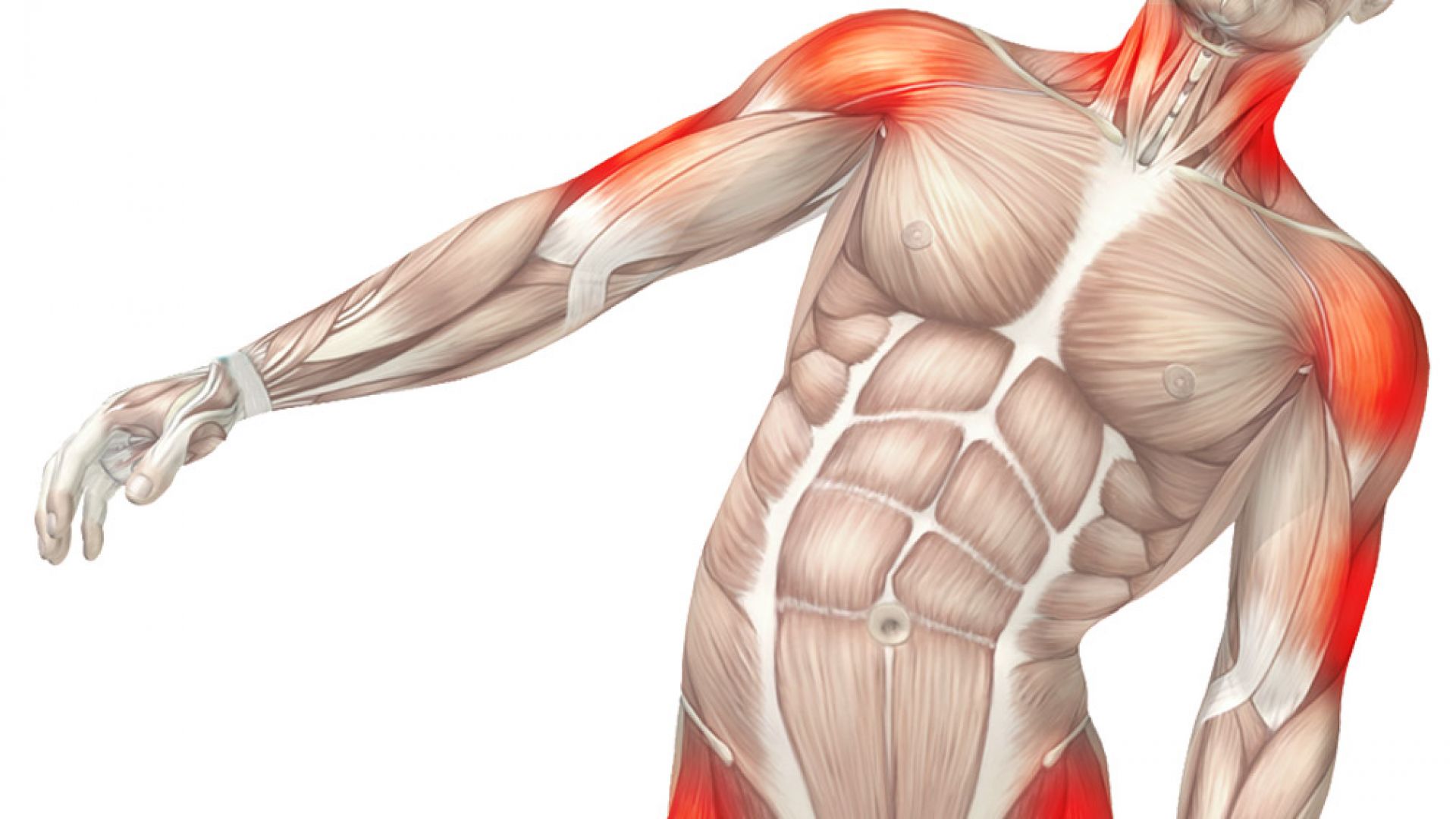 Лекари от различни специалности се обединиха и избраха своя фаворит