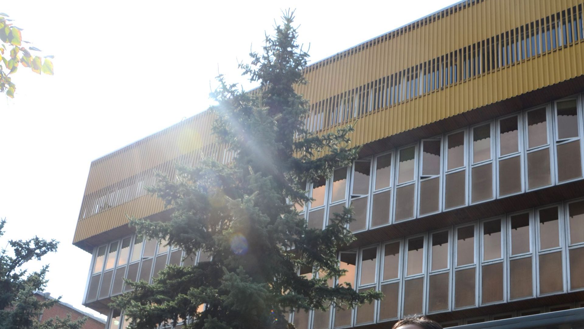 Засилен интерес към предстоящия конкурс за генерален директор на БНР