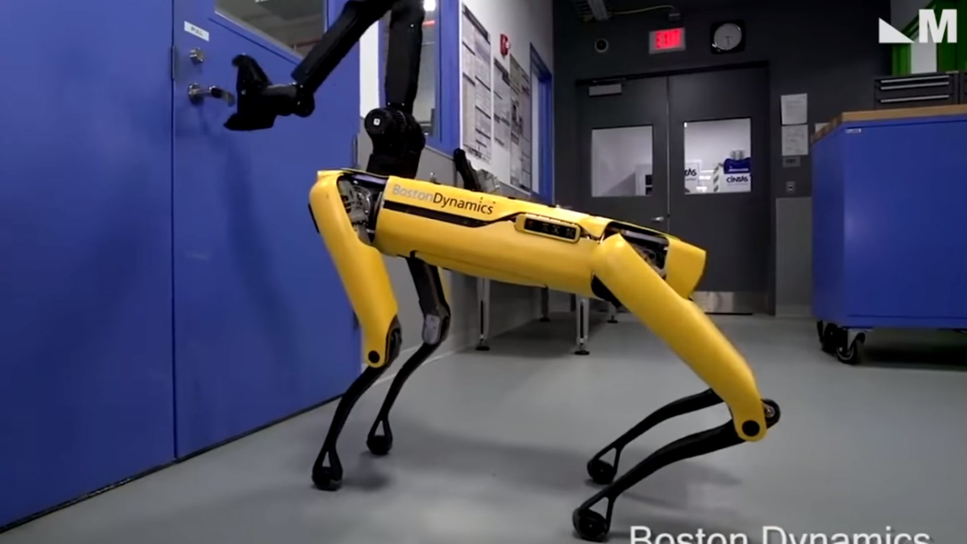 Четириноги роботи от военен проект може да бъдат изпратени в цирка