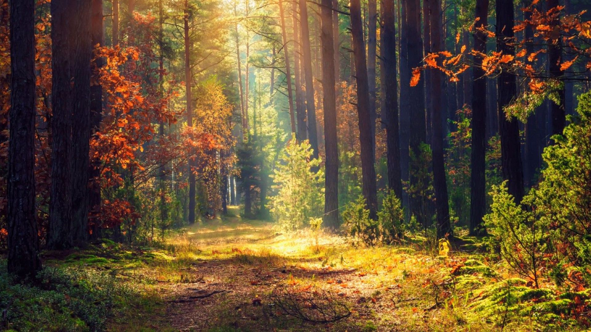 Целта е да се подобри организацията по управление стопанисване и