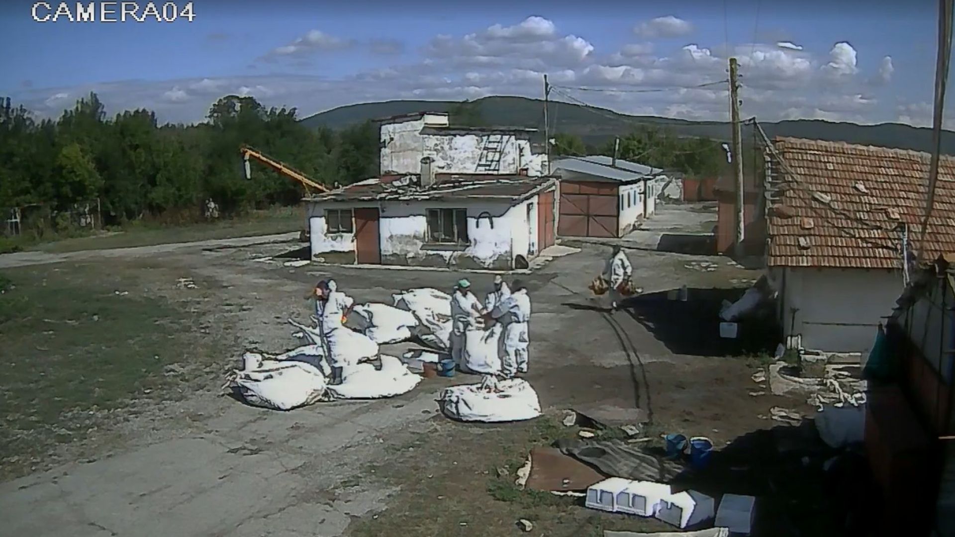 Сигнал за нехуманно умъртвяване на птици от птицеферма от служители