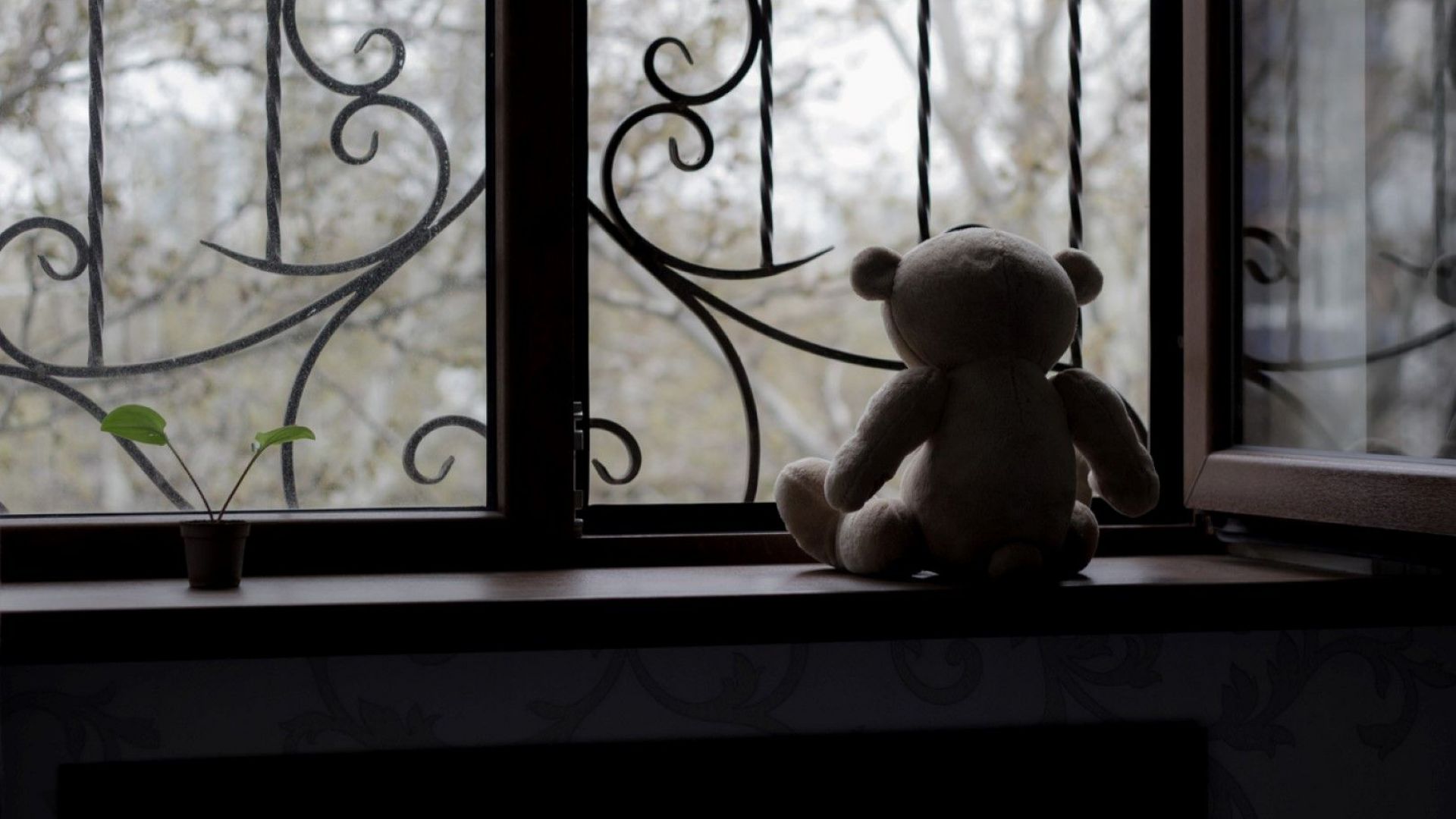 Окръжната прокуратура в Разград образува досъдебно производство по повод смъртта