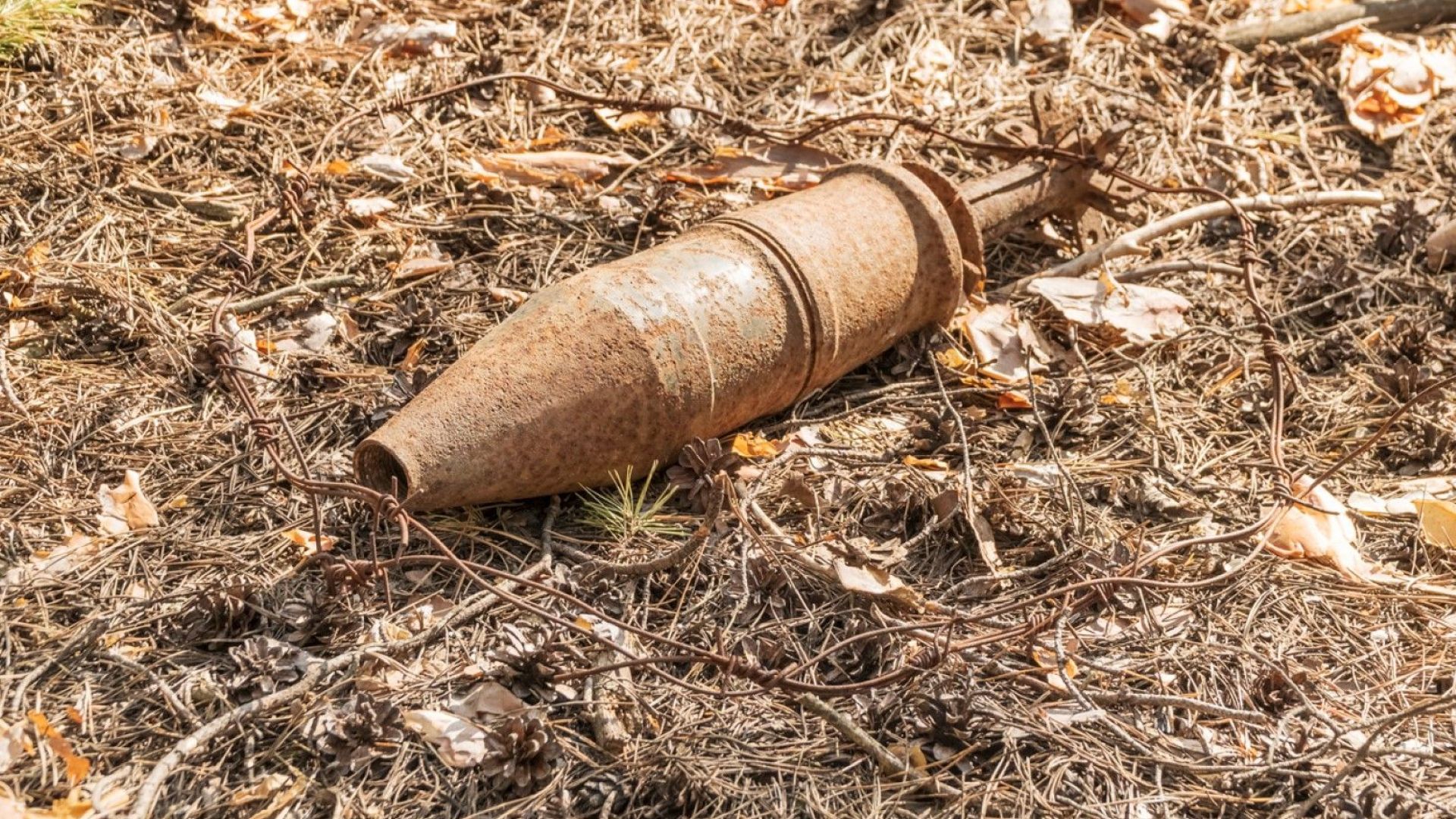 Откриха невзривен снаряд в двора на къща в София