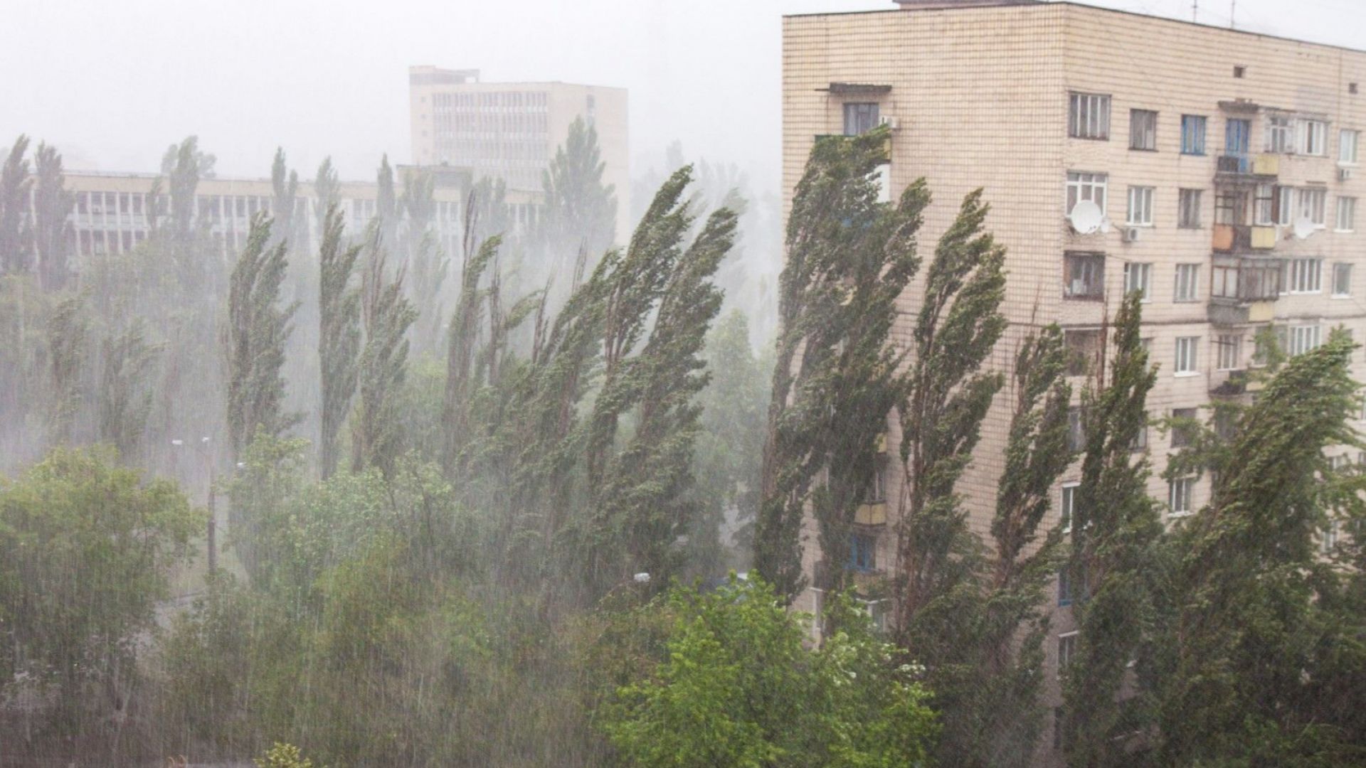 МВР обяви че предприема превантивни действия във връзка с очакваната