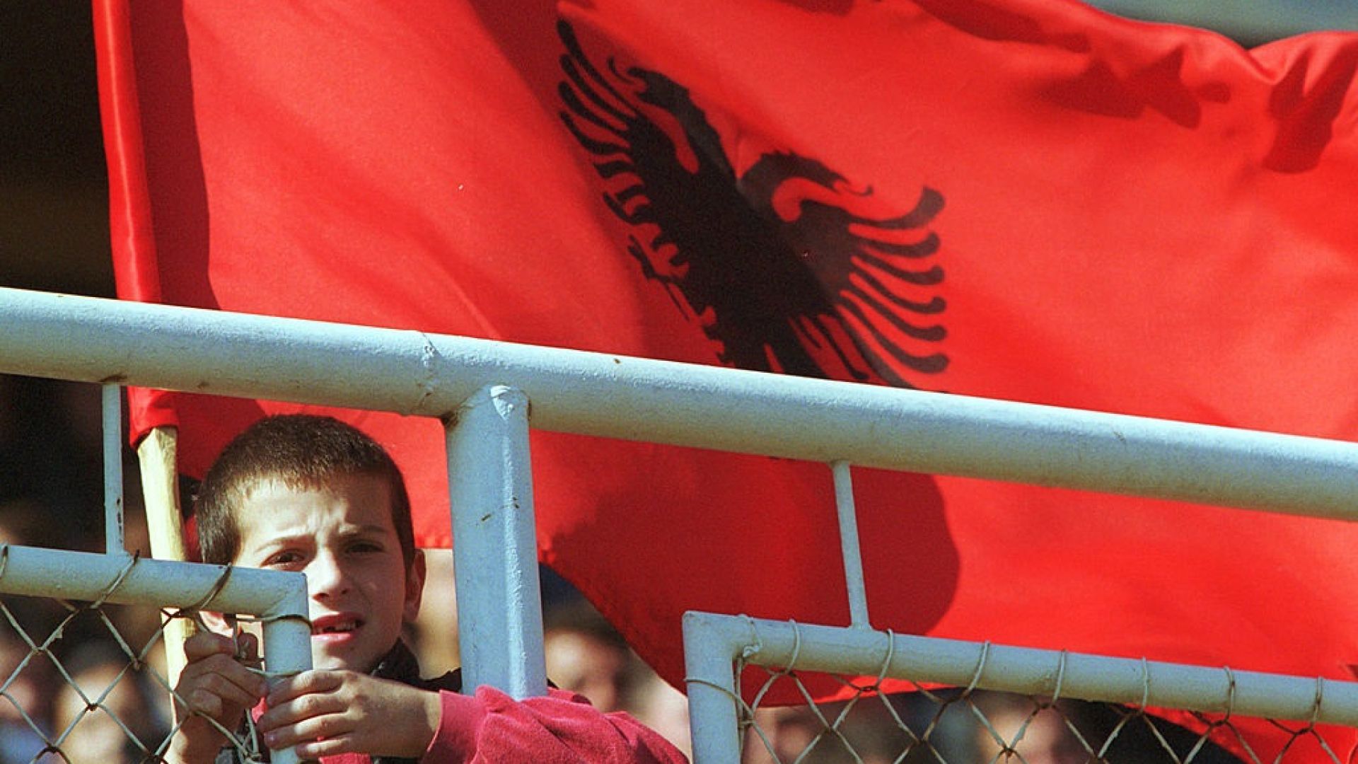 Предизборните анализи прогнозират двуцифрен резултат за четири партии Демократичен съюз