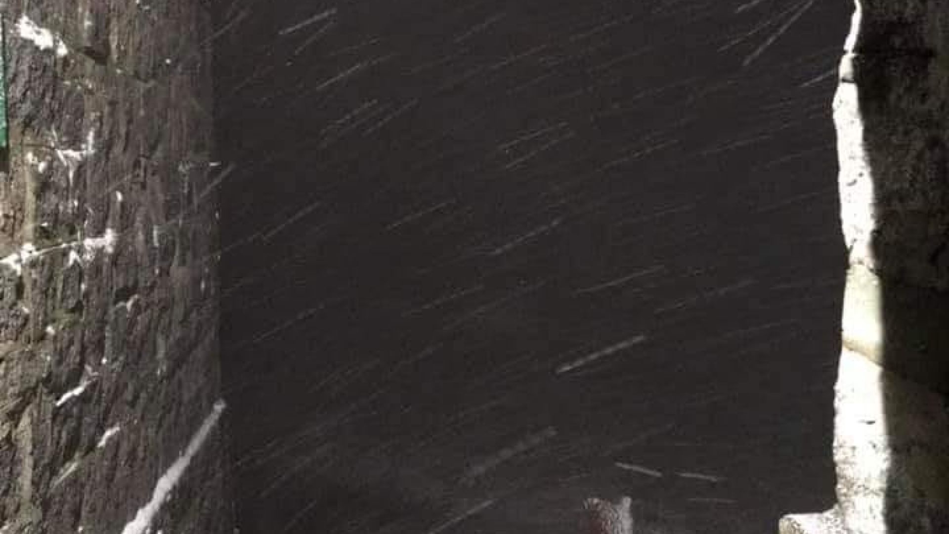 Първа снежна покривка за сезона беше регистрирана по най високите върхове