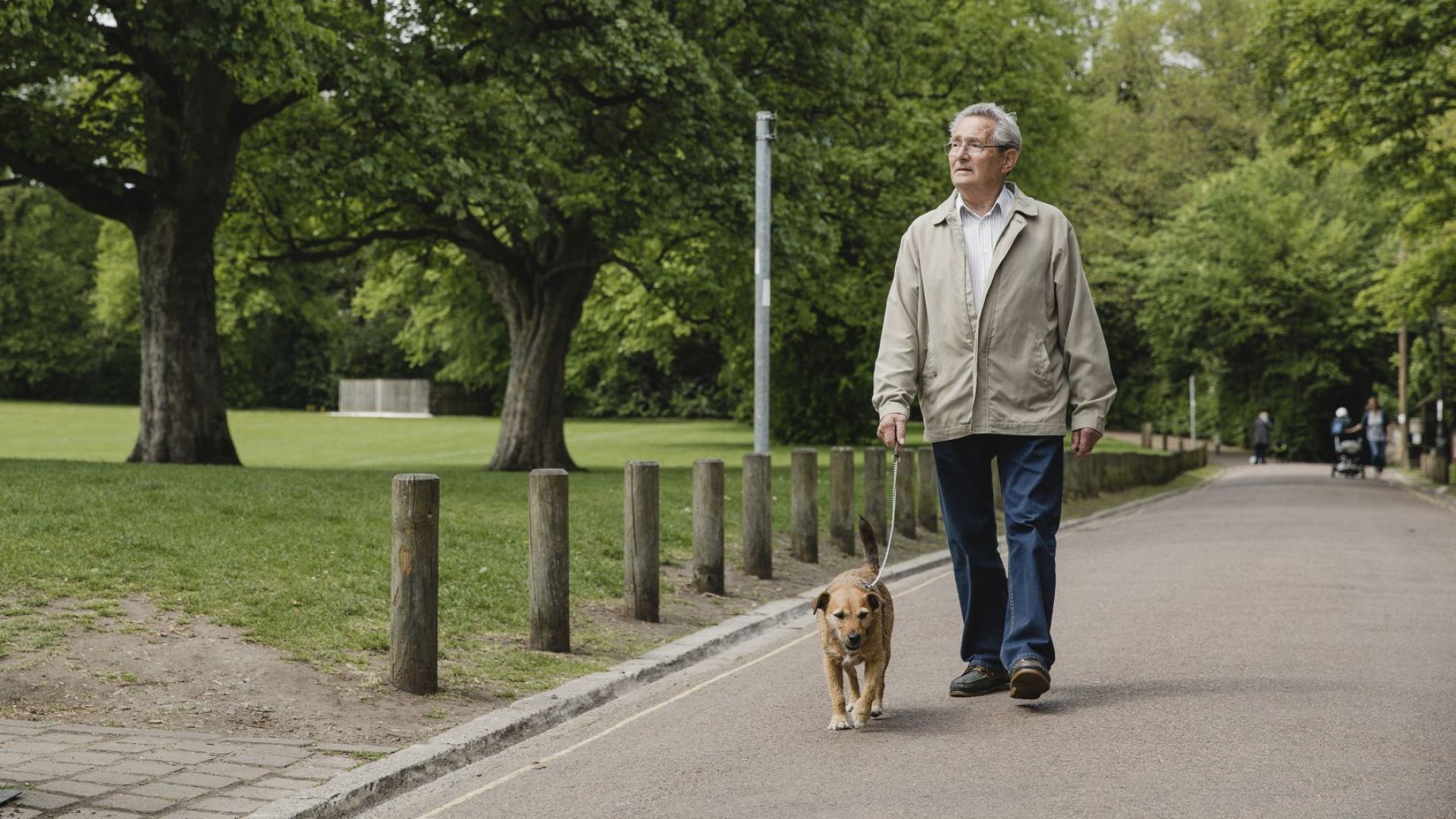 Собствениците на кучета живеят по дълго показват две нови изследвания цитирани