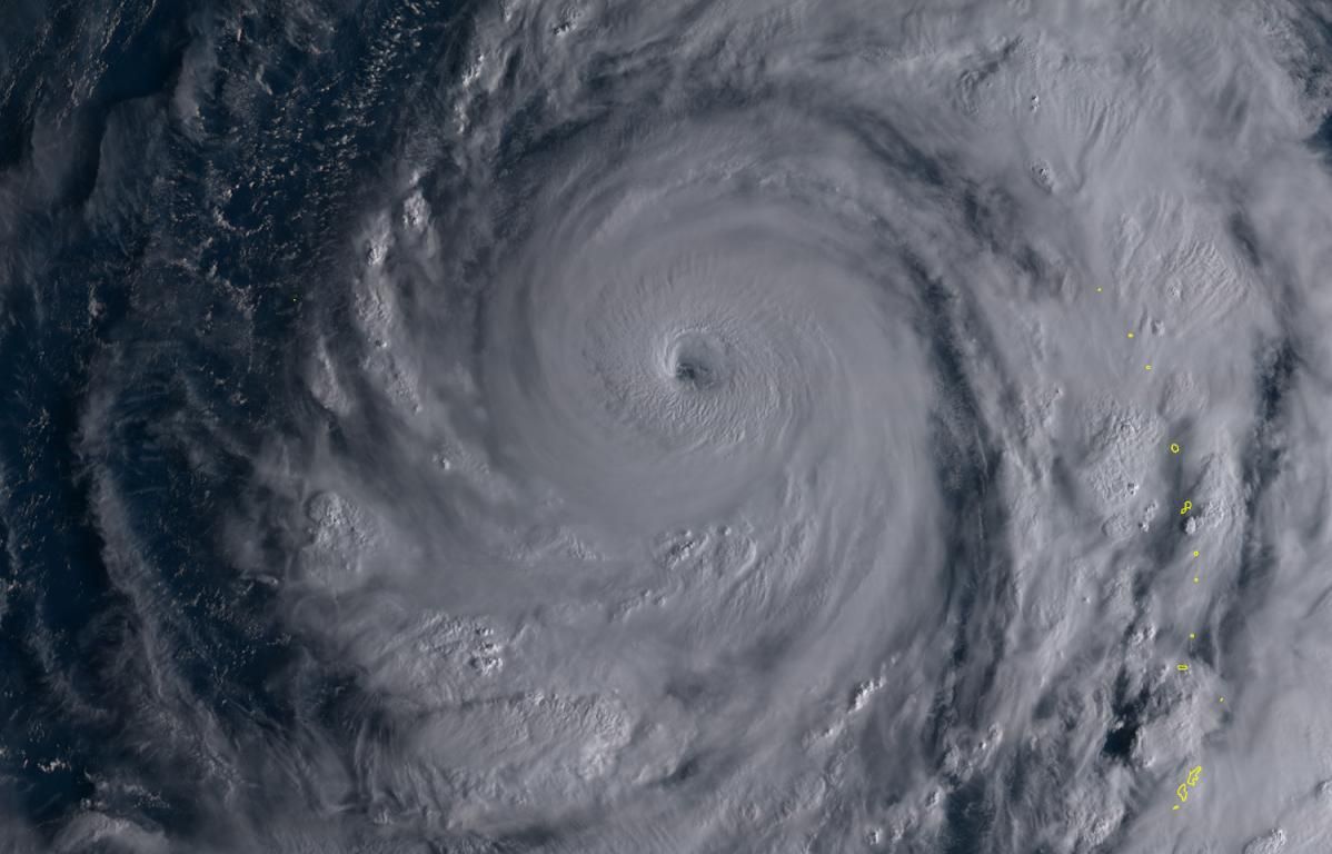 Тропическите циклони в северозападната част на Тихия океан се наричат 'Тайфуни". Снимката е на миналогодишният тайфун Хагибис, засегнал сериозно Япония
