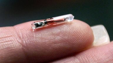 Жена имплантира в кожата си LED светодиоди