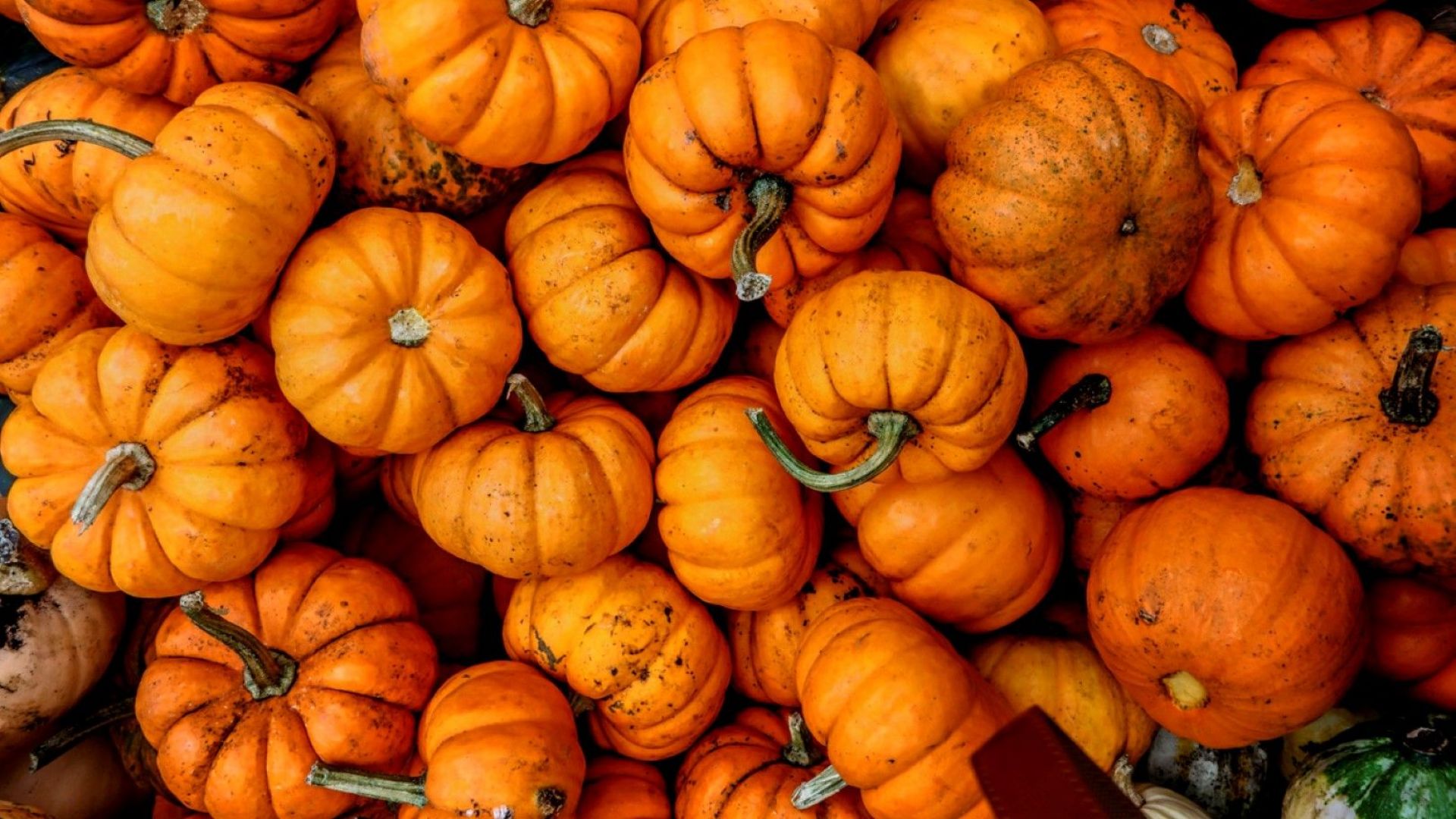 Криминално проявен мъж от ромския квартал Изток в Пазарджик беше