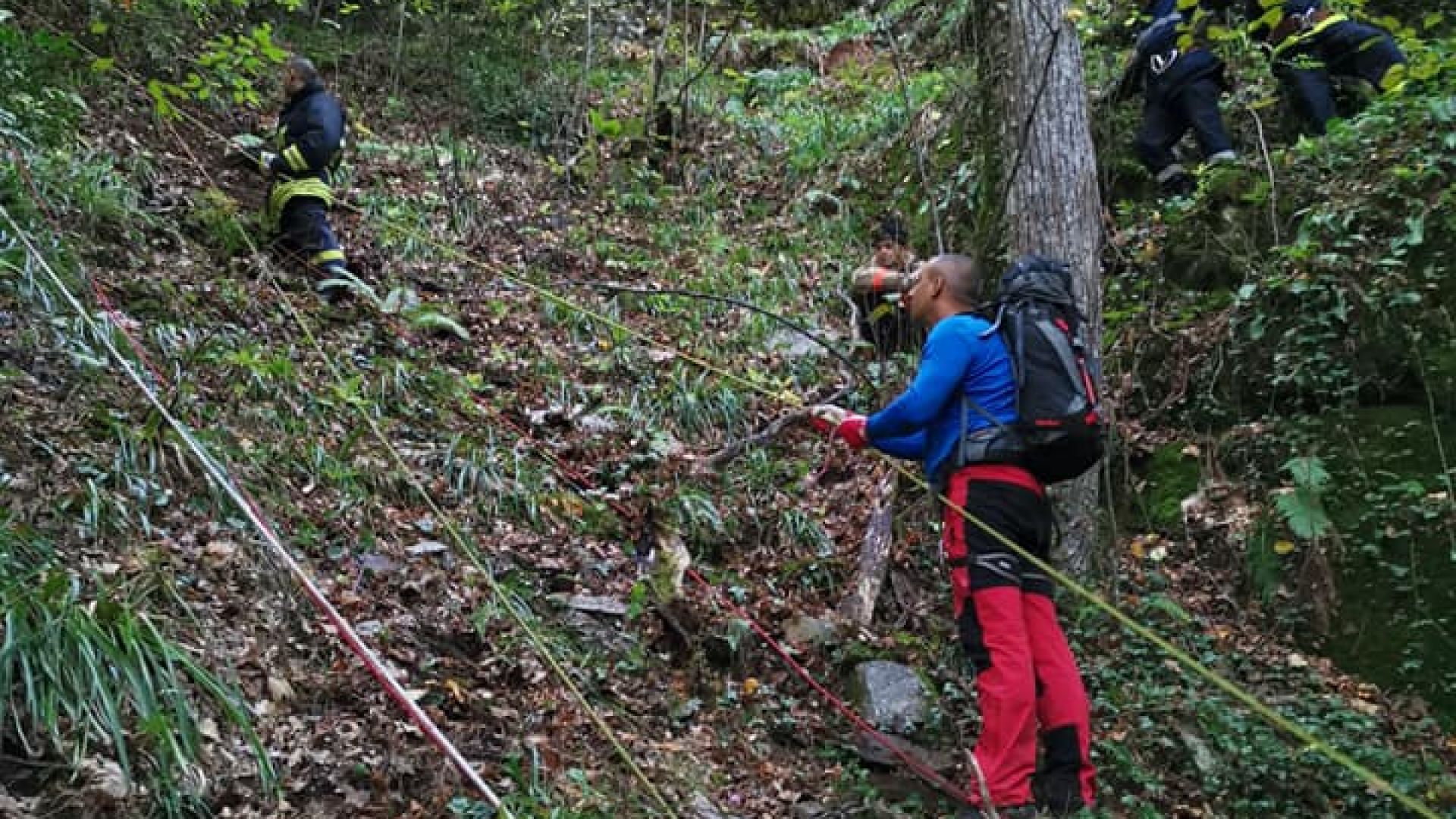 Откриха тялото на изгубената в Рила жена потвърдиха от Планинската