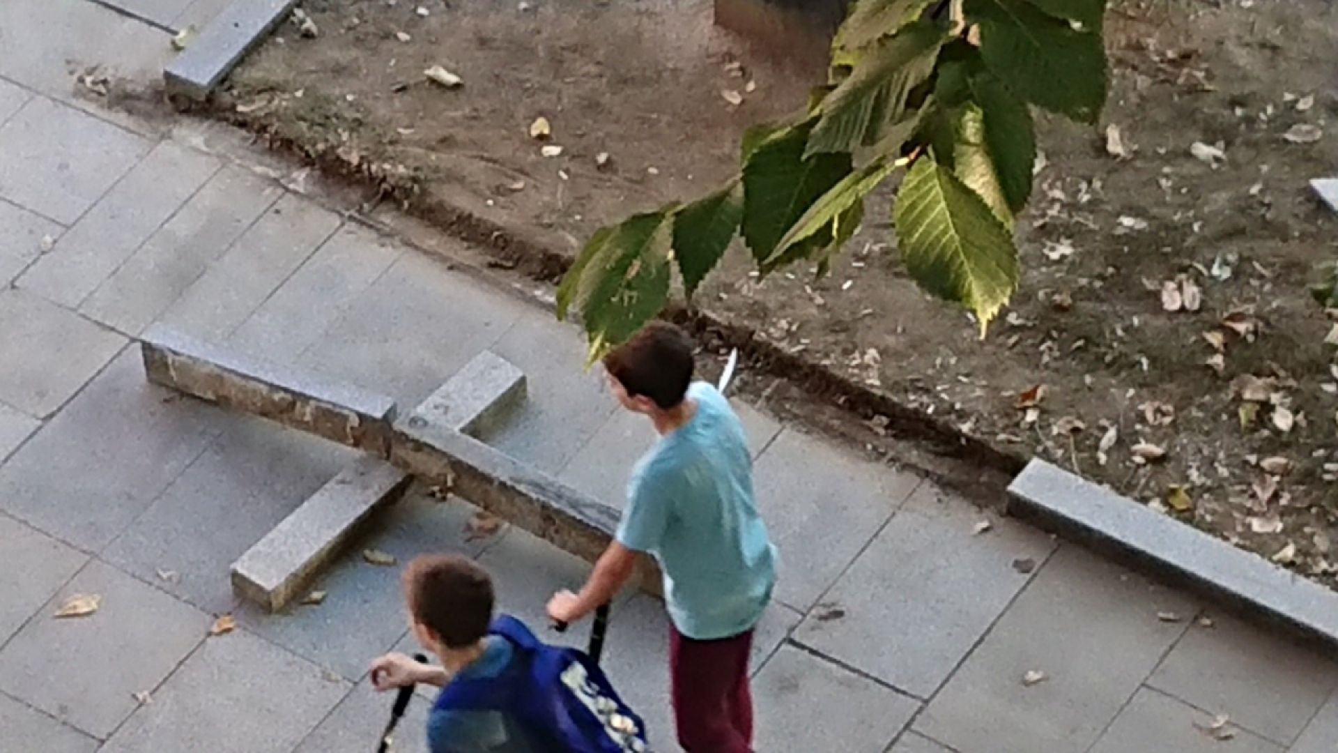 Вандалска проява в центъра на Русе изкъртени са три