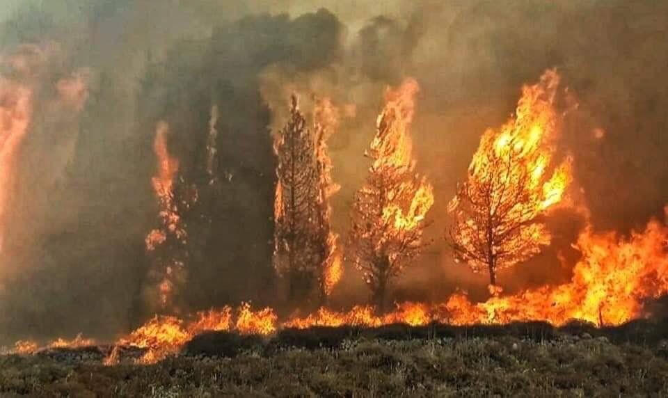  Обширни горски пожари в Ливан и Сирия