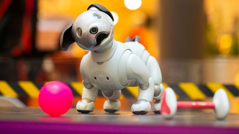 Кеймбридж: Кучета-роботи ни спасят от самотата по време на пандемията